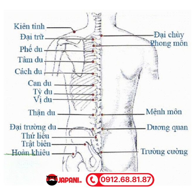 Chữa đau lưng cần bấm huyệt n&agrave;o?