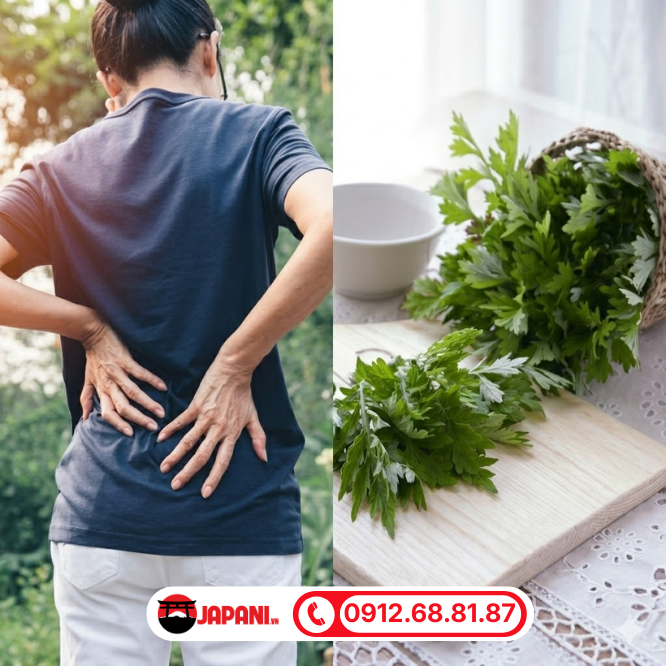 C&ocirc;ng dụng của ngải cứu gi&uacute;p điều trị đau nhức lưng