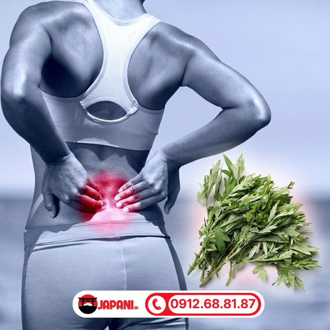 C&aacute;c c&aacute;ch chữa đau nhức lưng bằng ngải cứu tại nh&agrave;